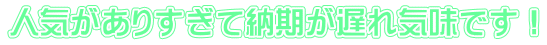 人気がありすぎて納期が遅れ気味です！